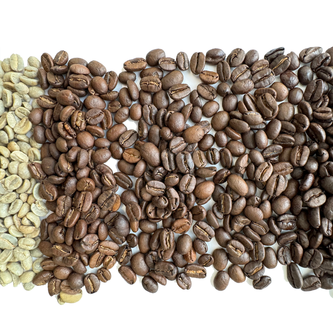 Kinos Coffee - Timber Dark Roast, Mexican Chiapas Beans, Premium SHG EP Arabica Blend - 12 oz
