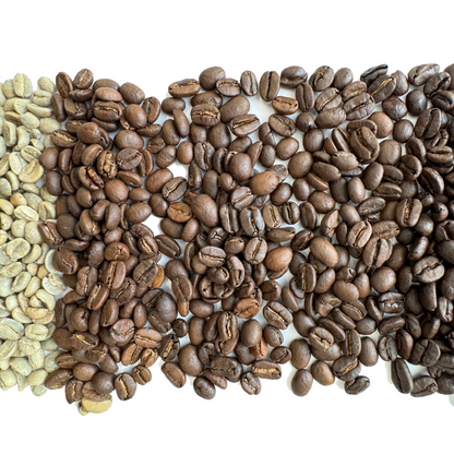 Kinos Coffee - Timber Dark Roast, Mexican Chiapas Beans, Premium SHG EP Arabica Blend - 12 oz